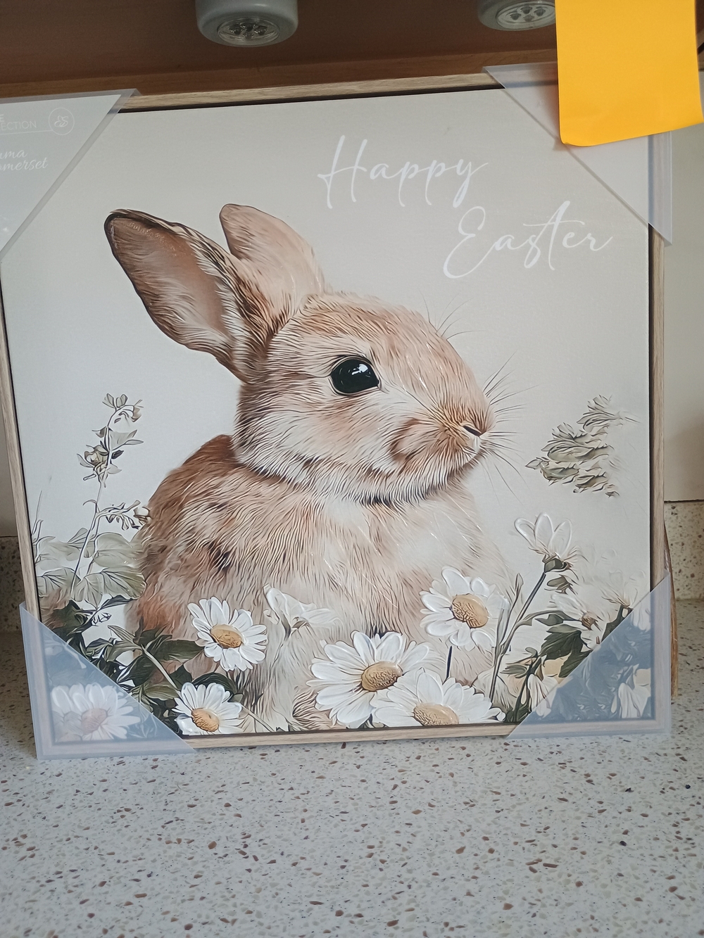 Happy Easter Bunny Framed Canvas Artwork Picture Wall Art NEW 15x15